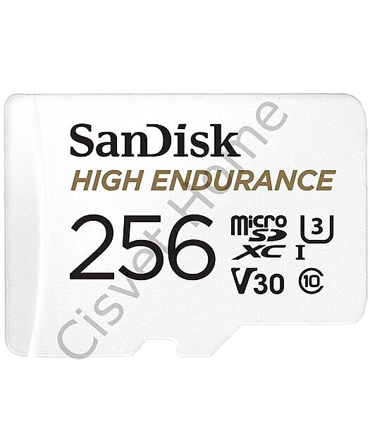 SanDisk High Endurance 256GB microSDXC Kart, 100MB/s, SD Adaptör Dahil